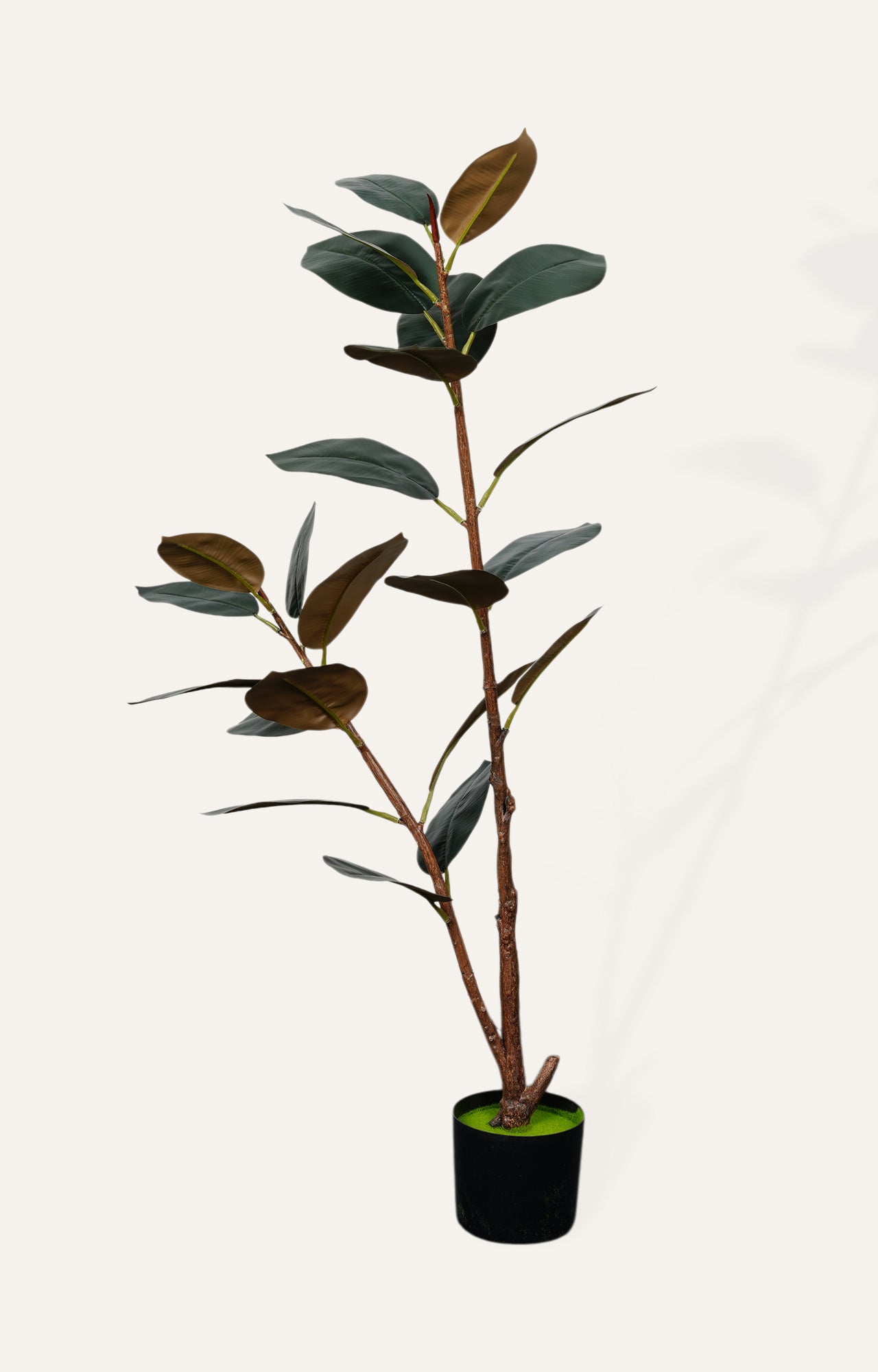 Artificial Rubber Plant – 4 Feet