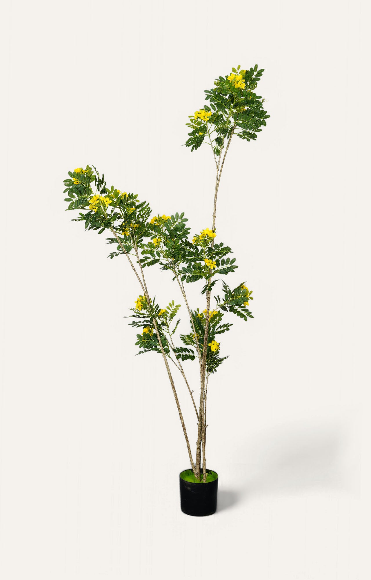 Artificial Yellow Mimosa Plant – 7.5 Feet