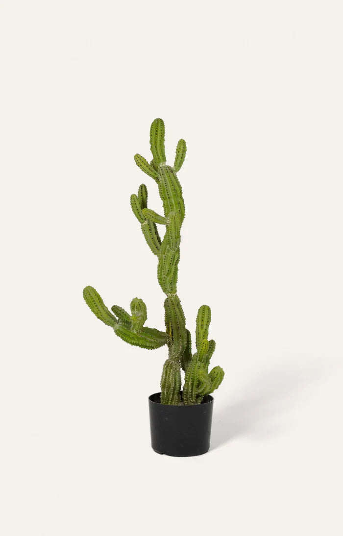 Artificial Cactus Plant - 2.5 Feet