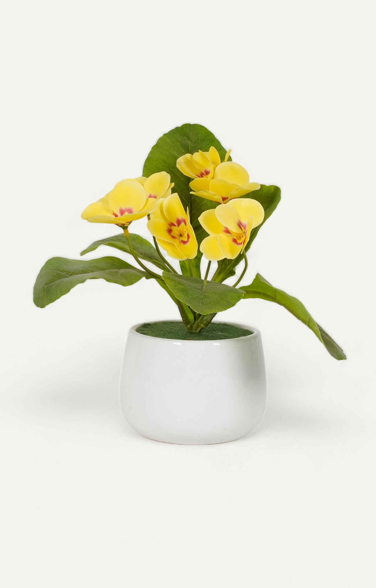 Artificial Primrose Flowers in White Pot
