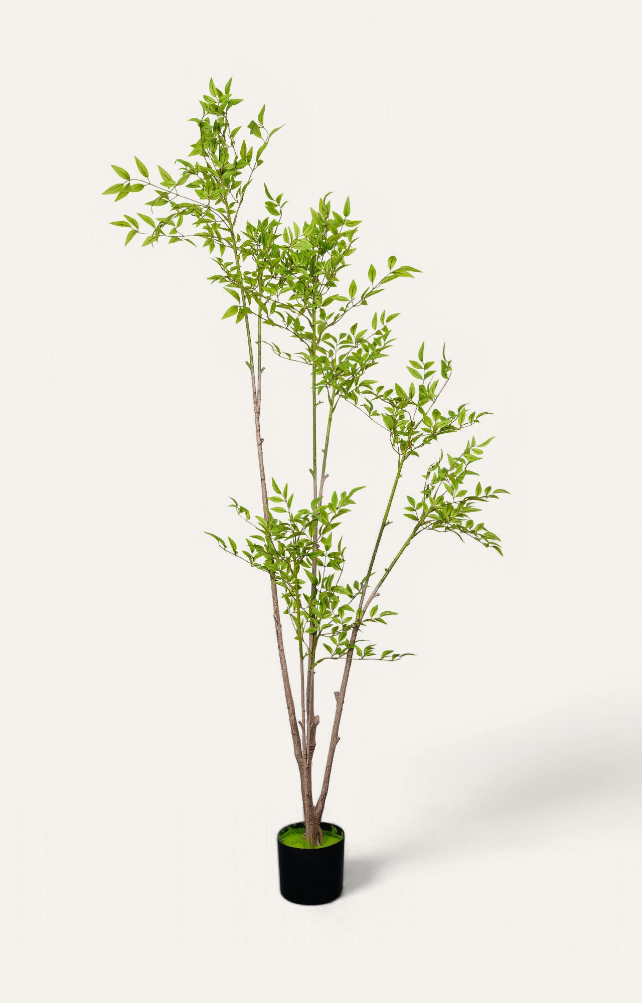 Artificial Birch Leaf Plant – 6 Feet