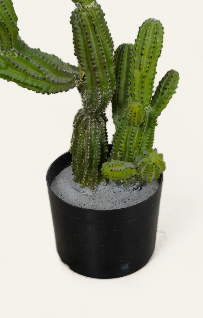 Artificial Cactus Plant - 2.5 Feet