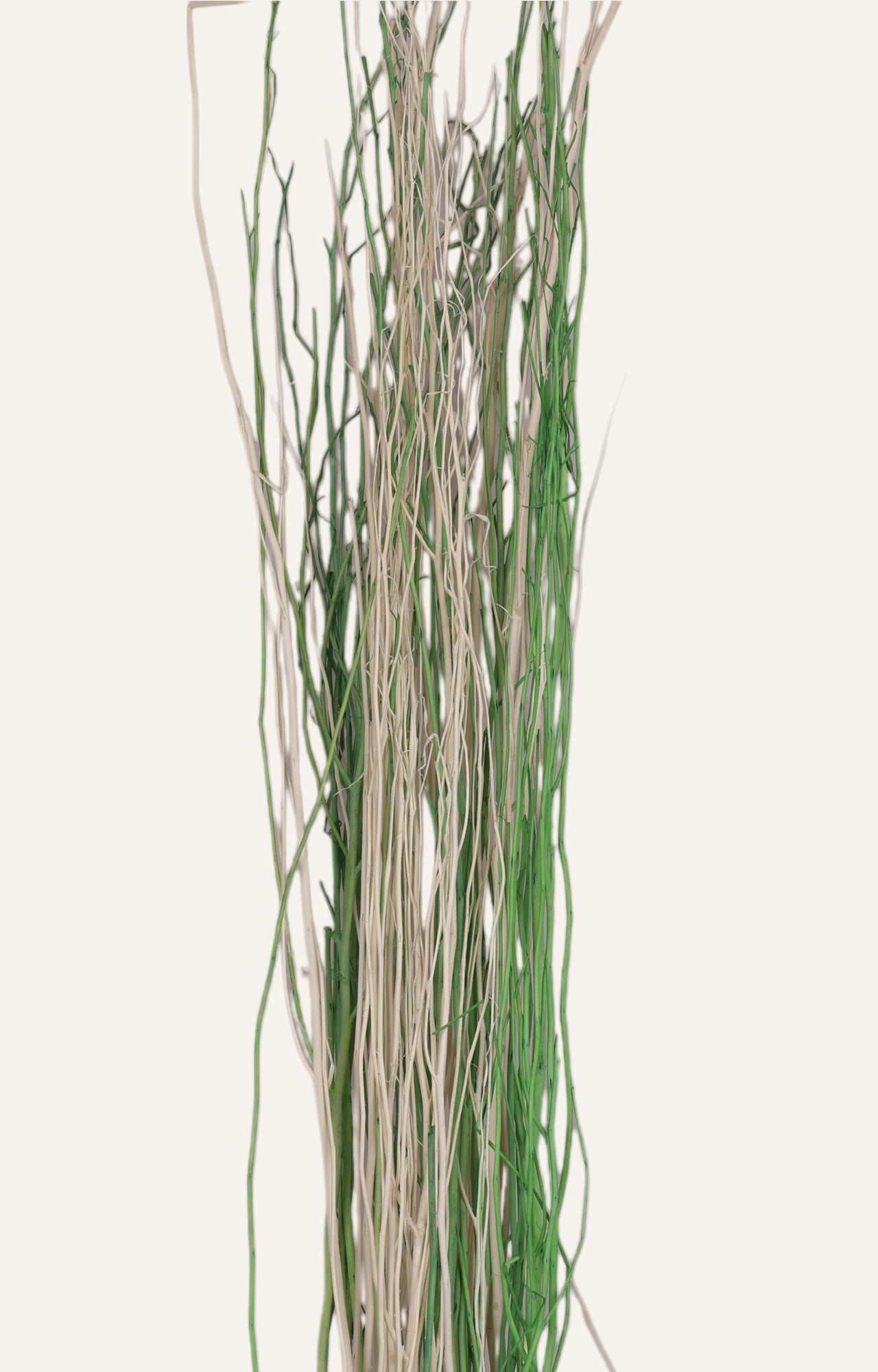 Elafros White Lady Deco Stick