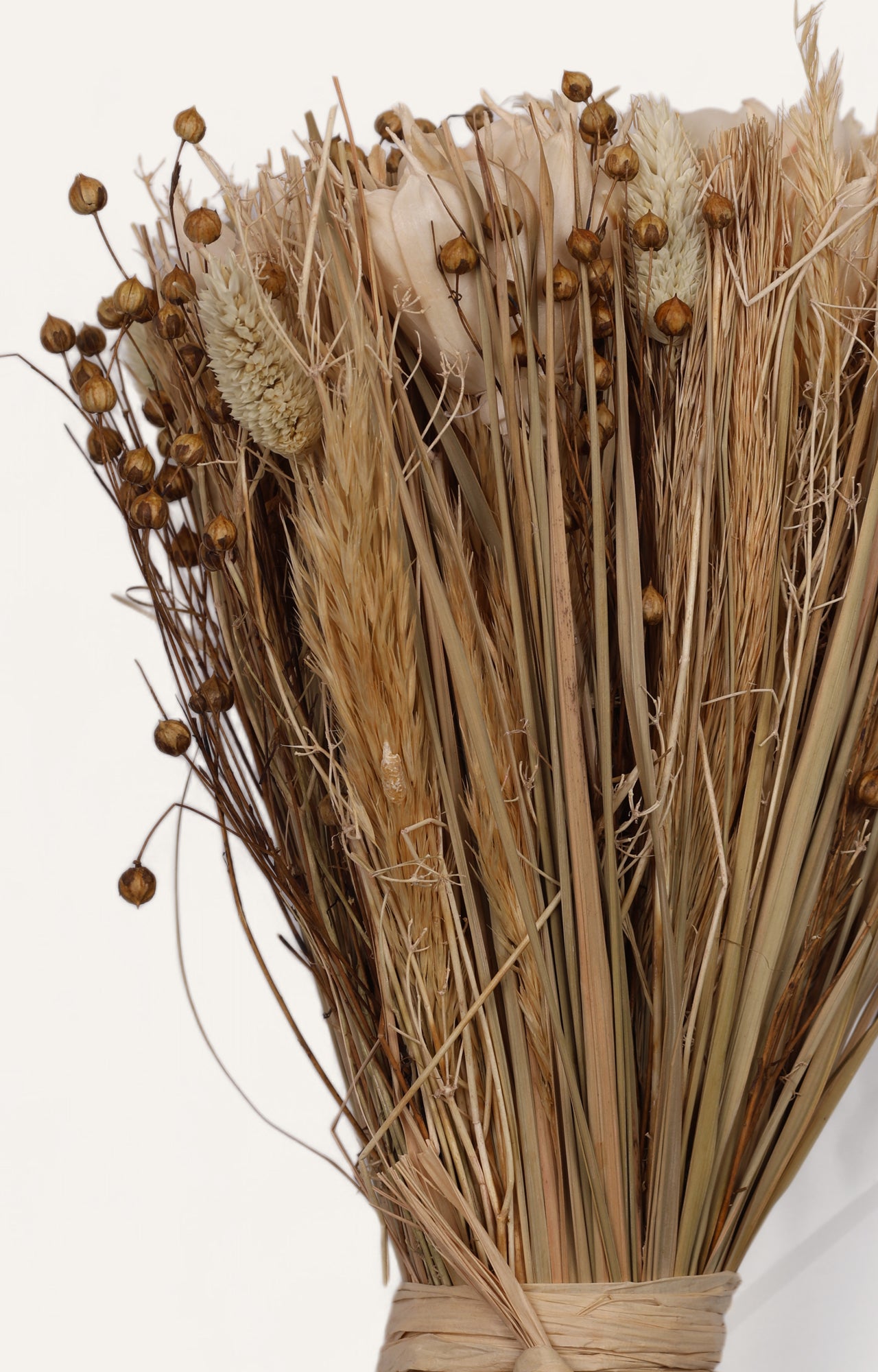 Chrysos Brown Dried Flower Bunch