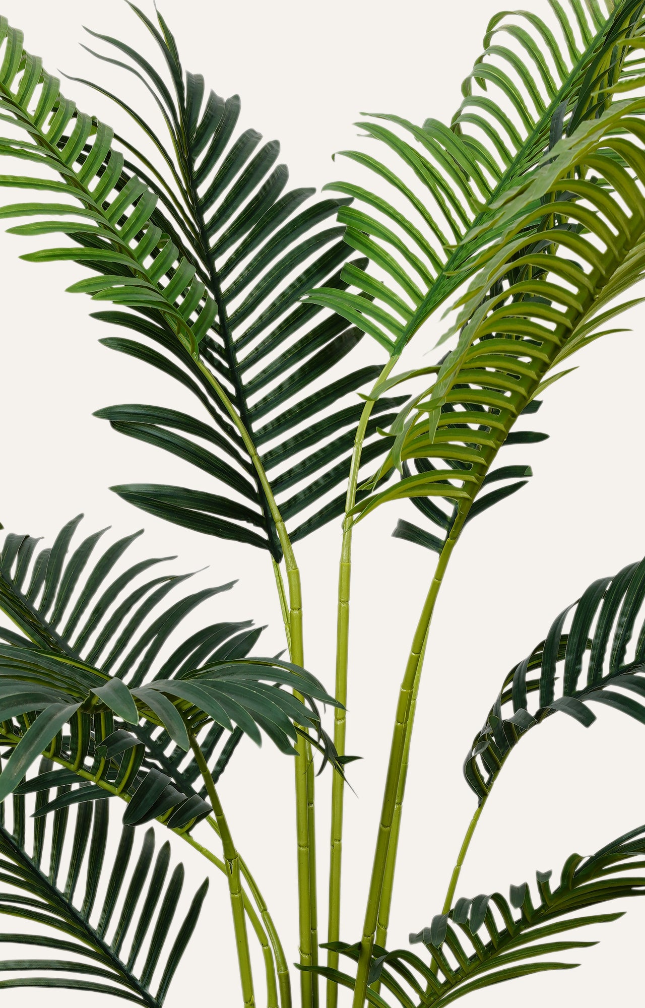 Artificial Areca Palm Plant – 5.5 Feet