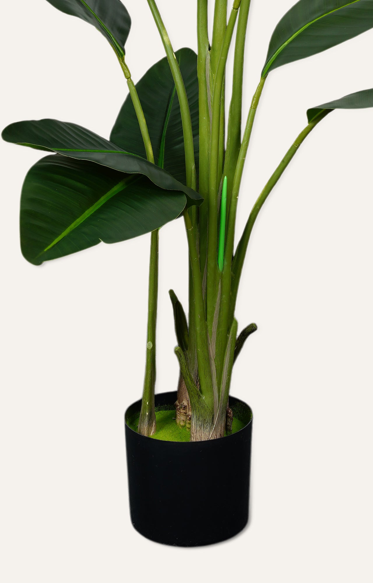 Artificial Bird of Paradise Plant – 6 Feet