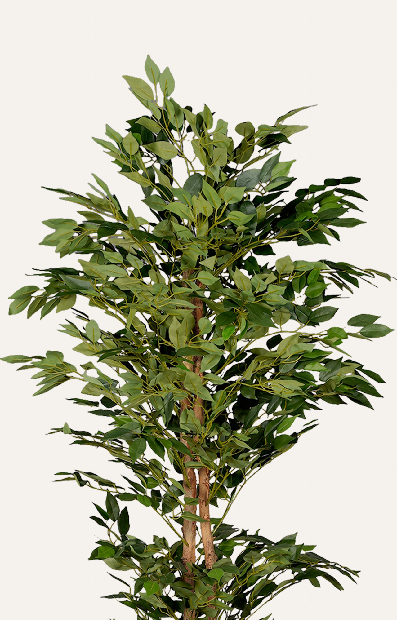 Artificial Ficus Tree – 6 Feet