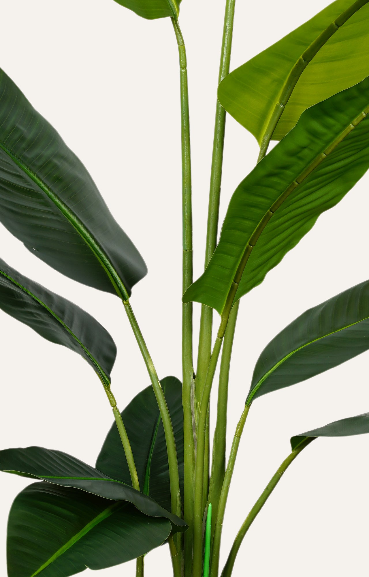 Artificial Bird of Paradise Plant – 6 Feet