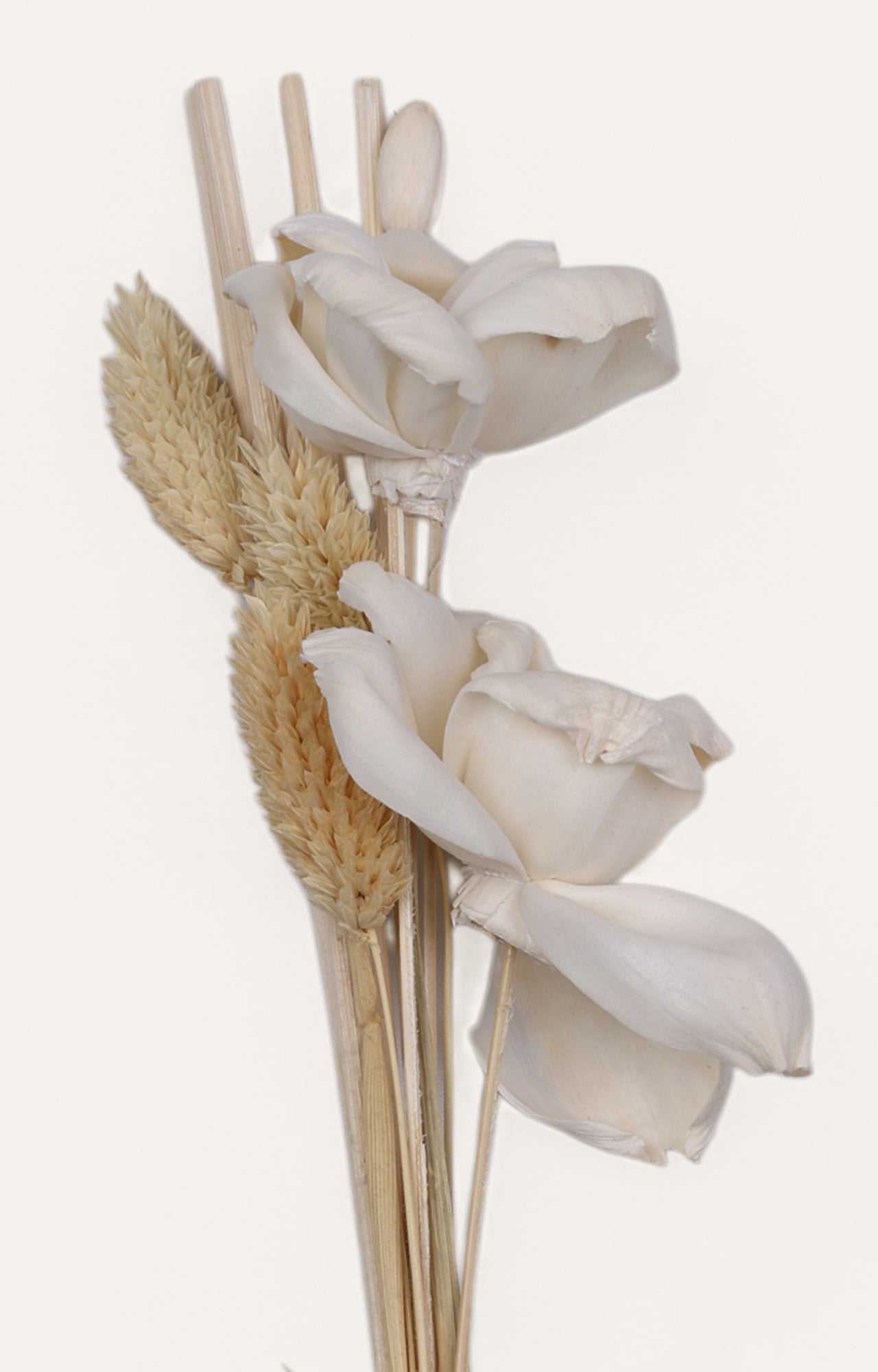 Aroma Sola Peony Reed Diffuser