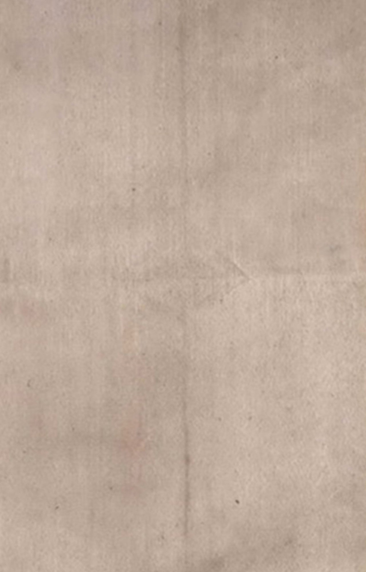 Beige Hand Knotted woolen kilim Rug