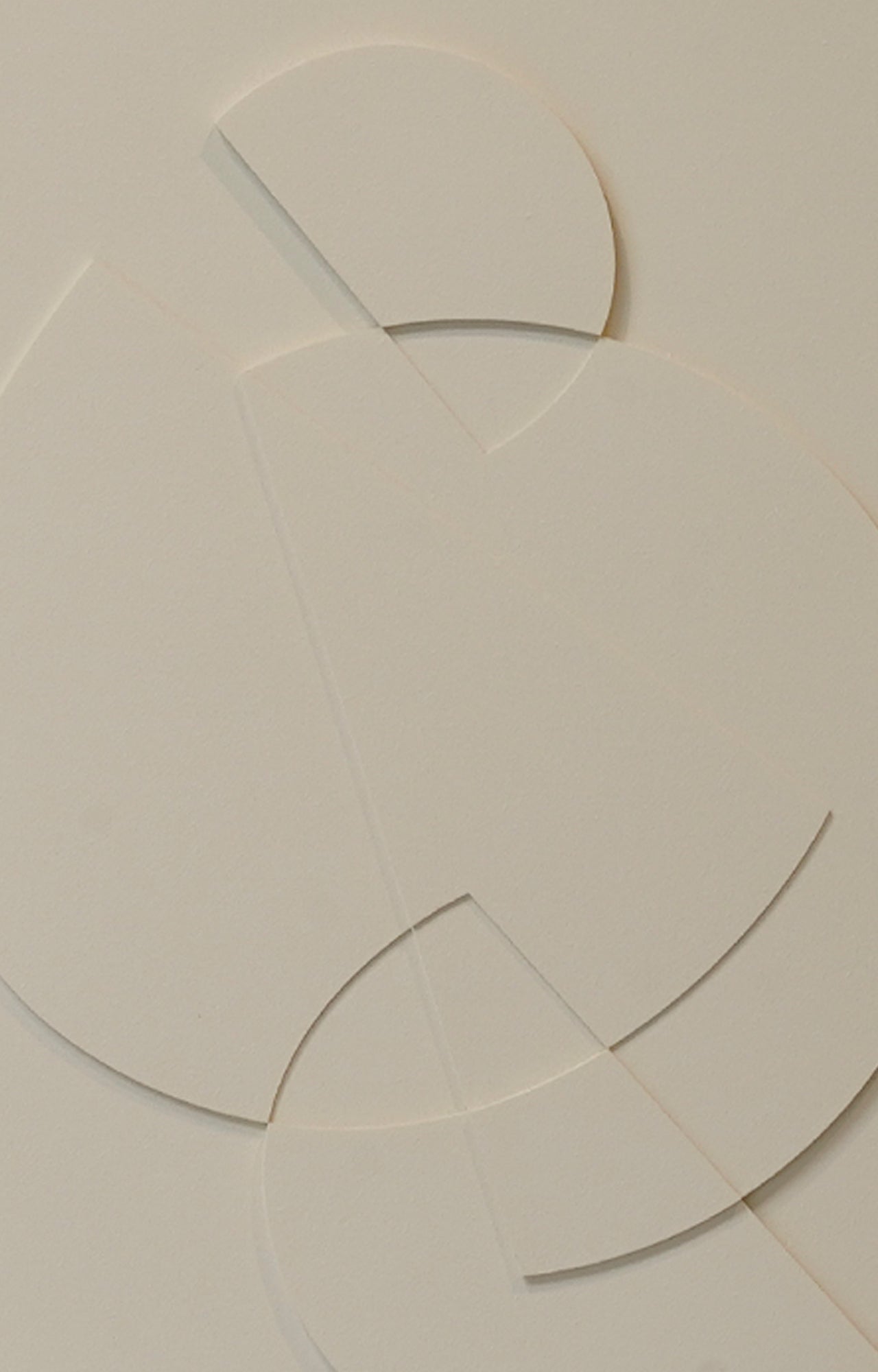 Set of 2 Illusion 3D Sculpture Wall Art Relief on Canvas