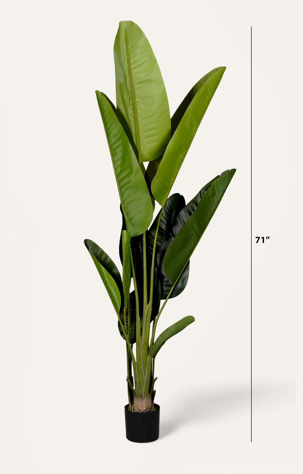 Artificial Bird of Paradise Plant – 6 Feet