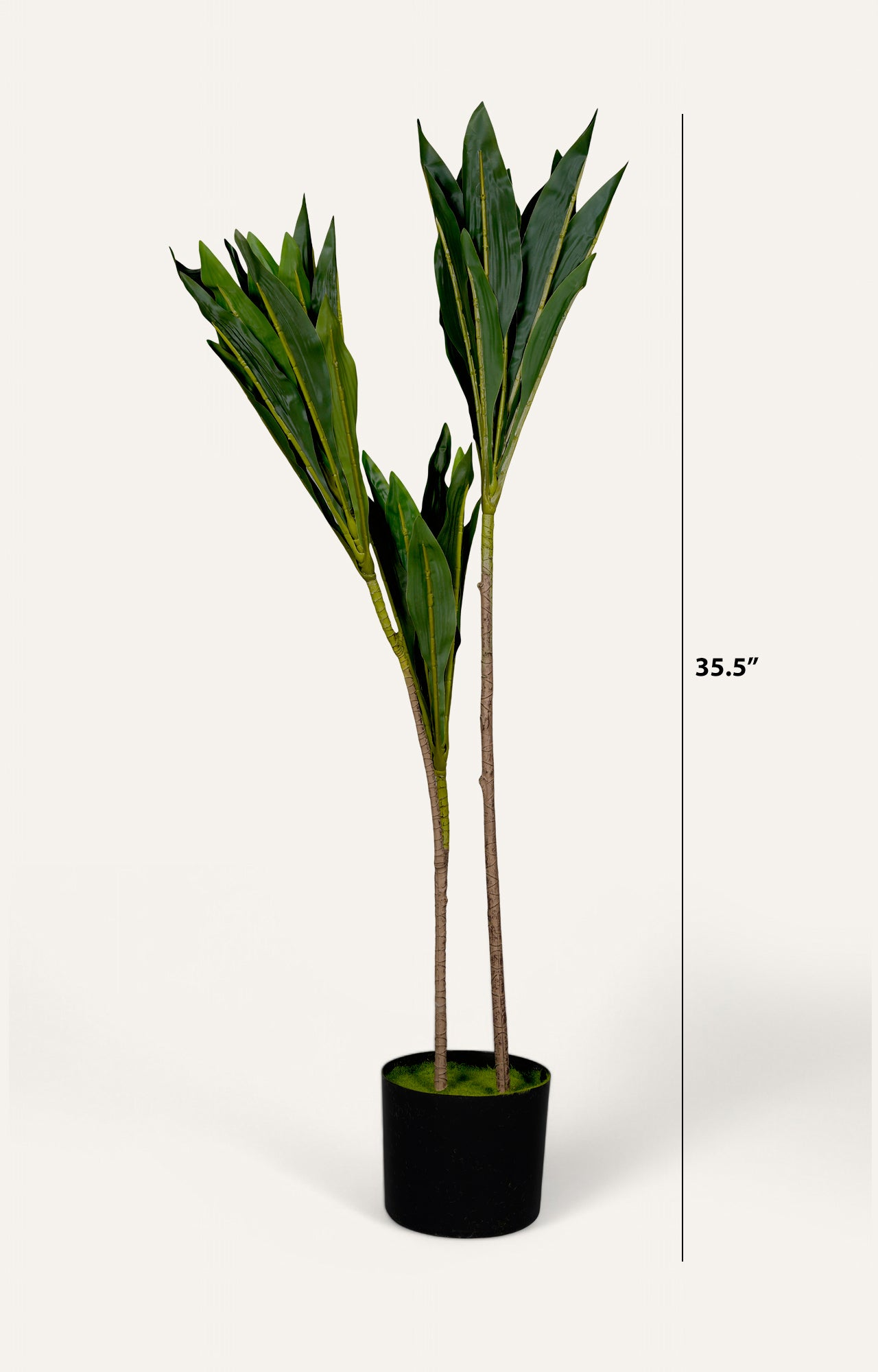 Artificial Dracaena Corn Plant – 3 Feet