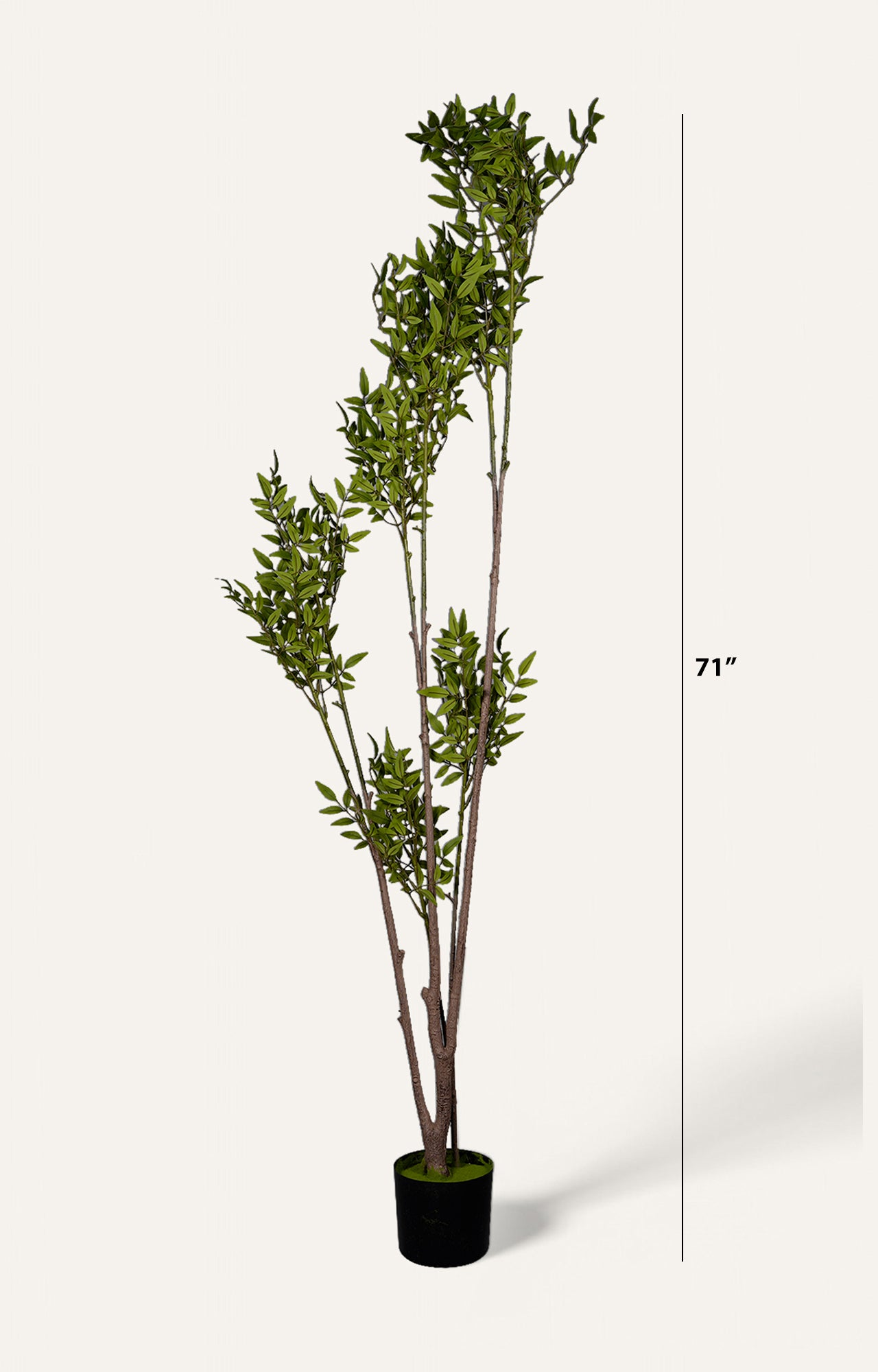 Artificial Birch Leaf Plant – 6 Feet