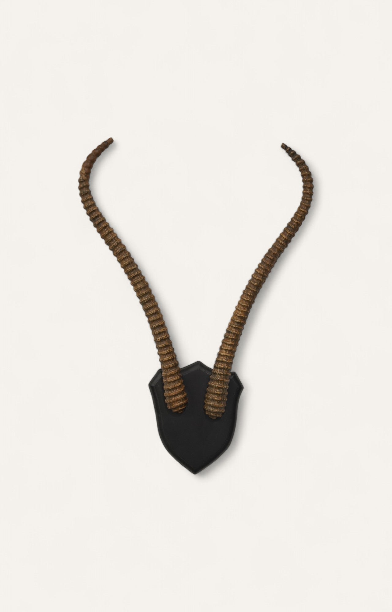 Spiral Kudu Horn Antlers Wall Decor