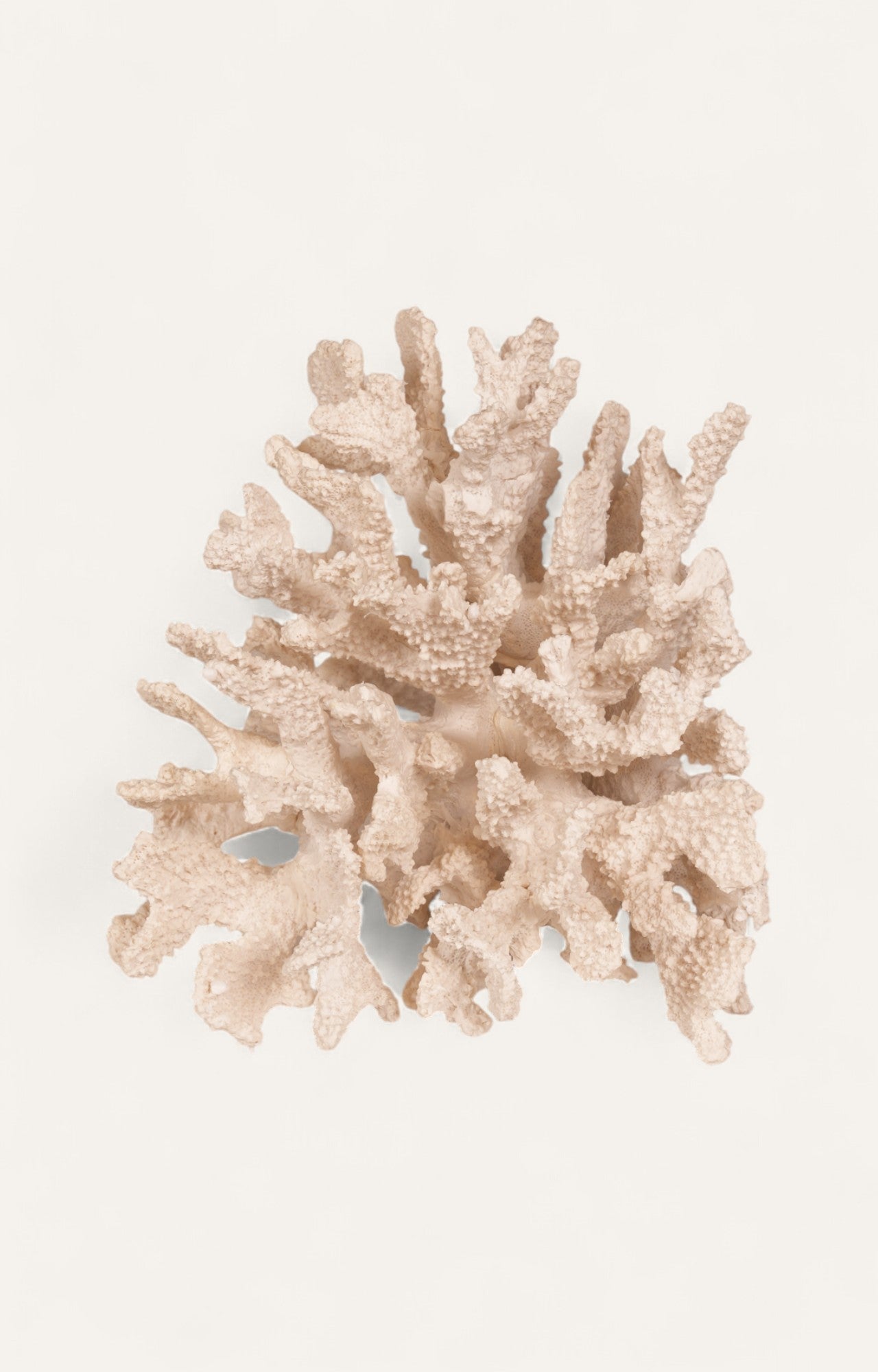 Polyresin Coral Table Decor