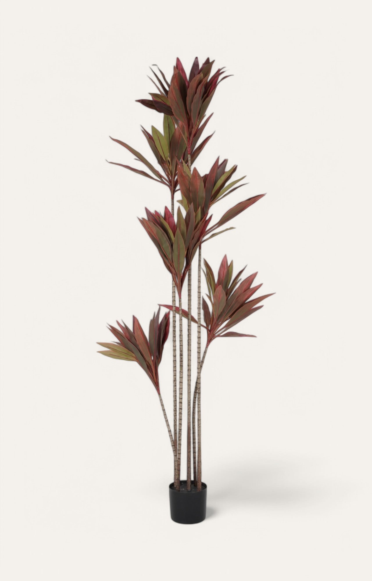 Artificial Red Cordyline Plant - 6 Feet