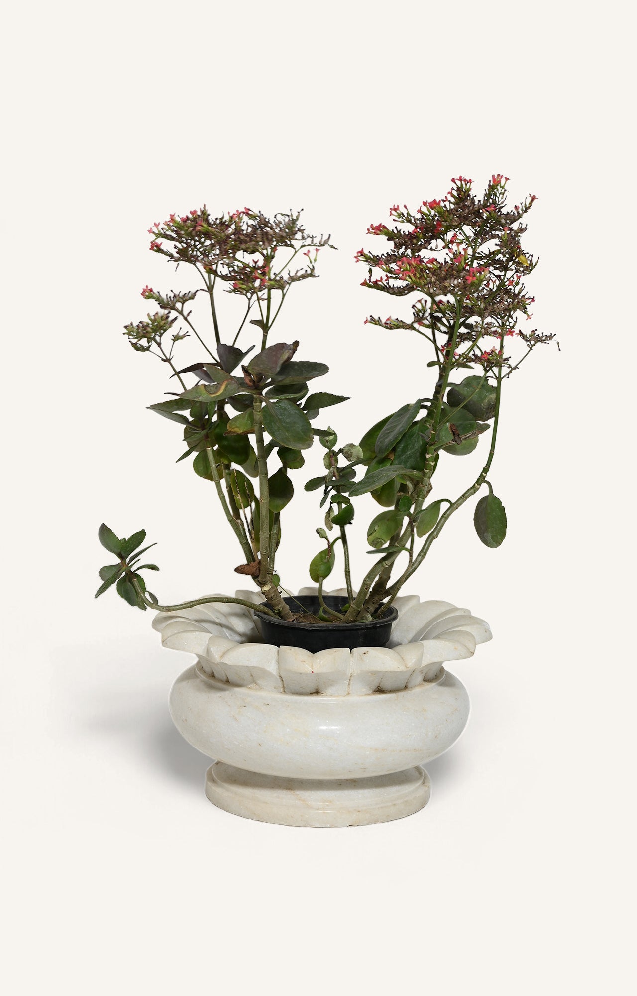 Durable White Marble Lotus planter for Garden