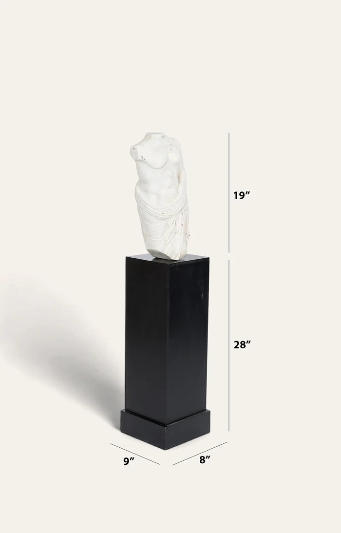 Torso with Wooden Base