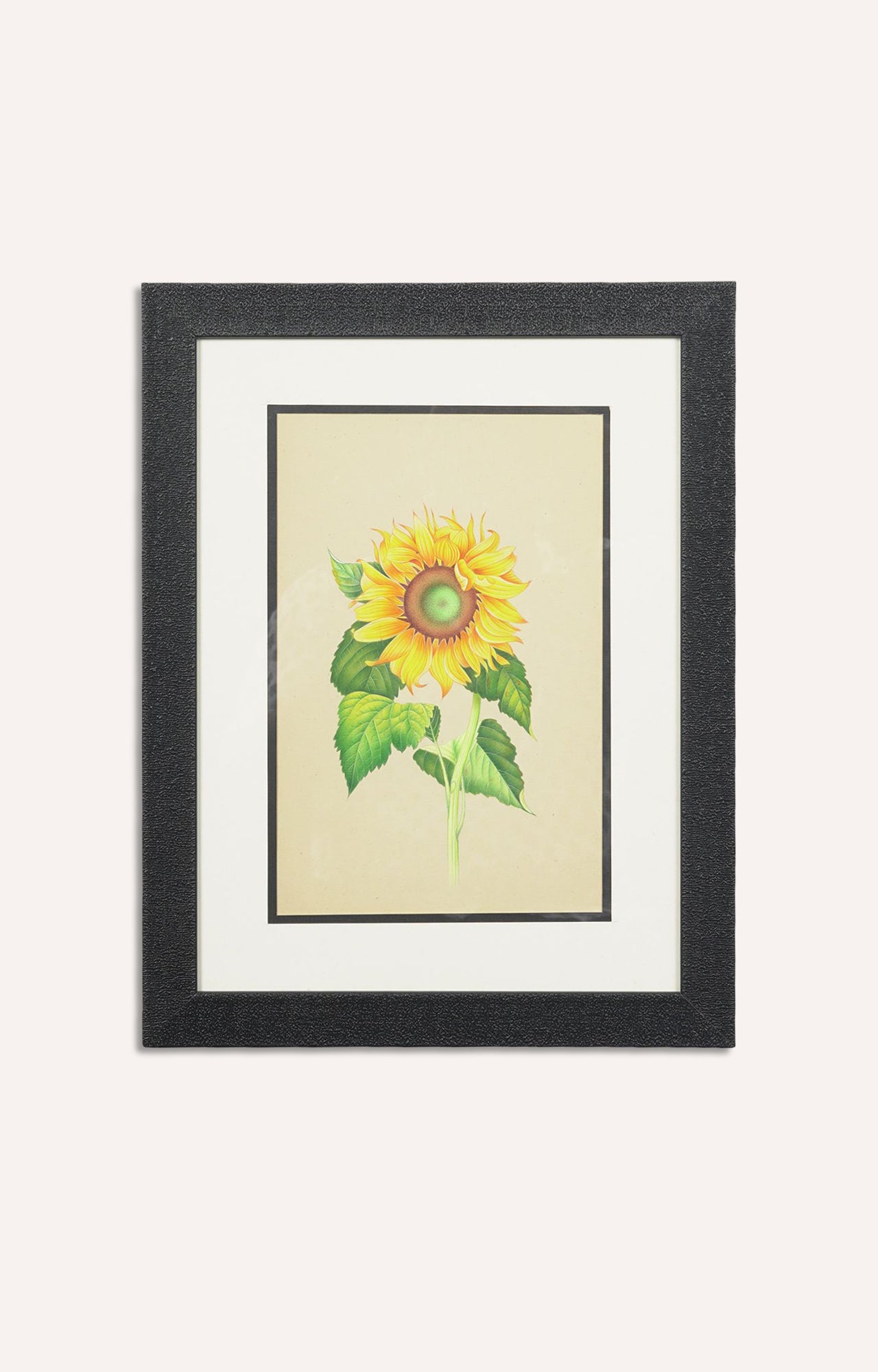 Miniature botanical hand painting (Framed)