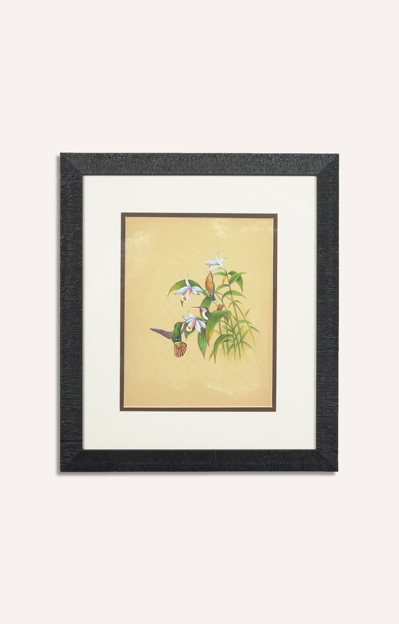 Miniature botanical hand painting (Framed)
