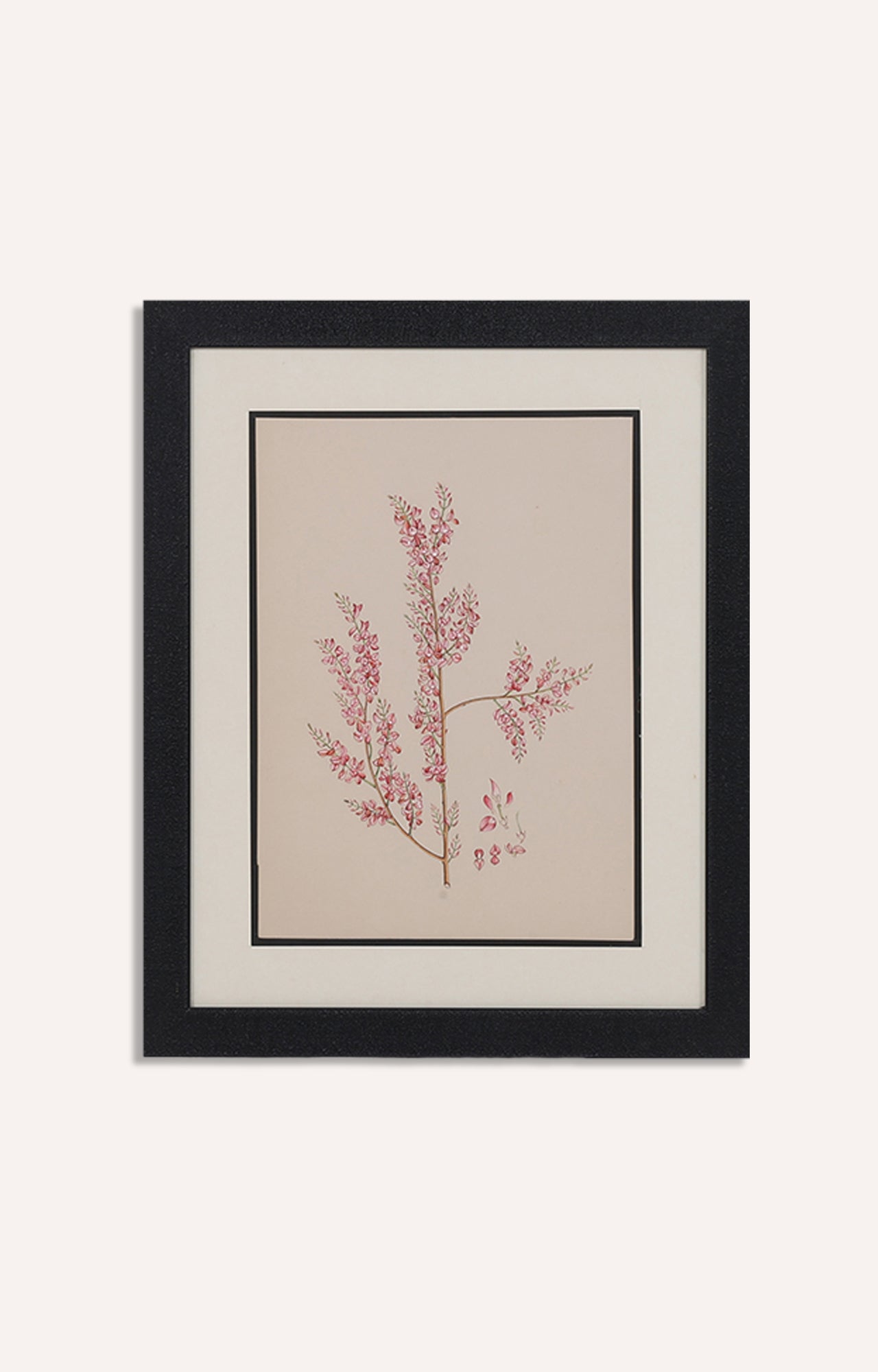 Water color Miniater