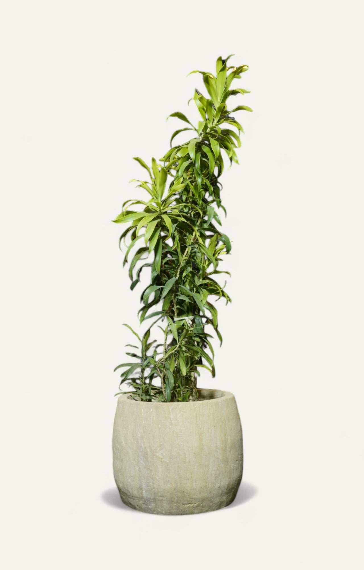 Classic White Stone Garden Planter