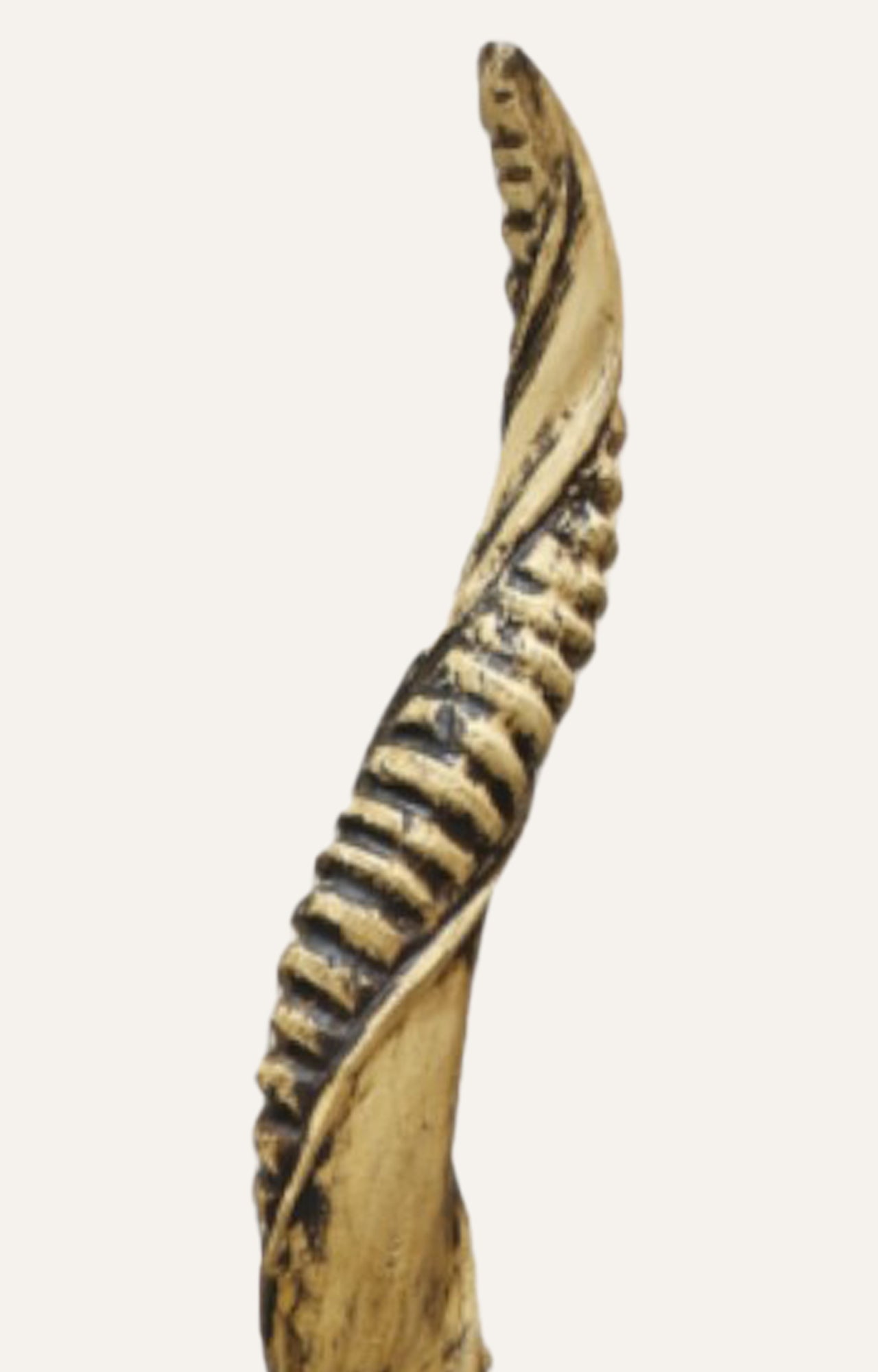 Faux Antler With Glass Base Set Of 2