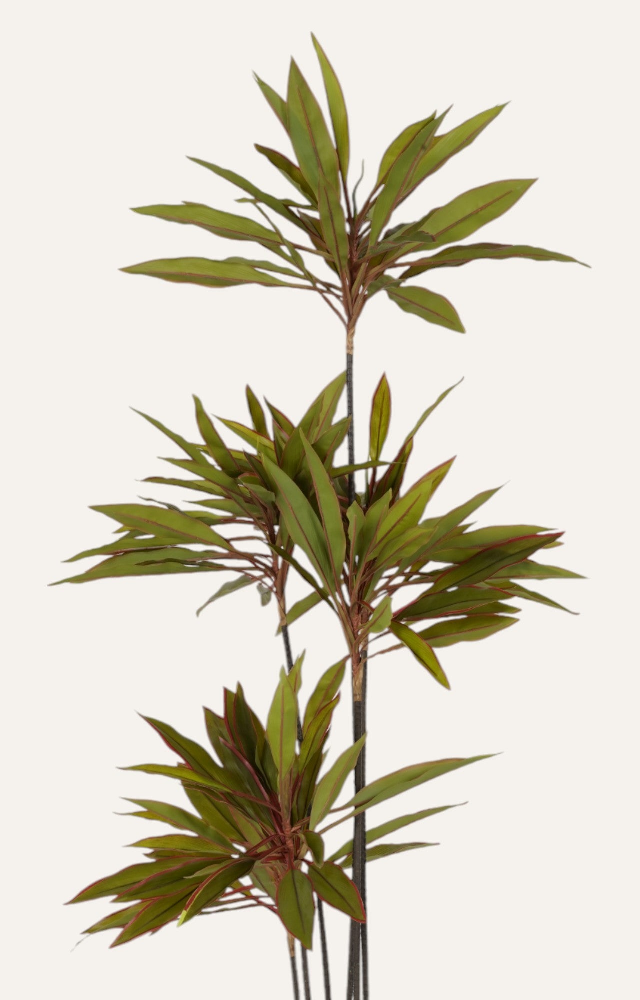 Artificial Cordyline Floor Plant – 5 ft