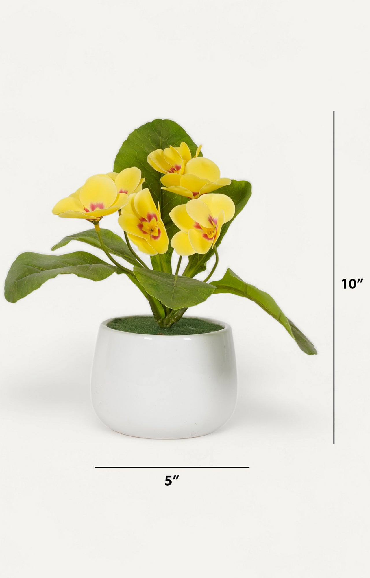 Artificial Primrose Flowers in White Pot