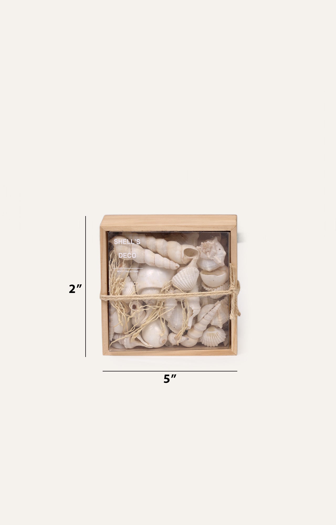 Thesauros Wooden Beach Shell Box