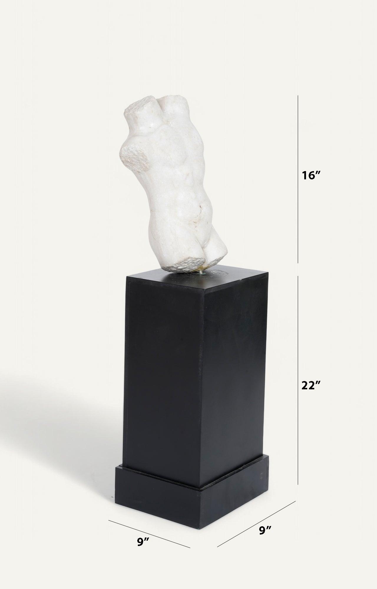 Torso with Wooden Base