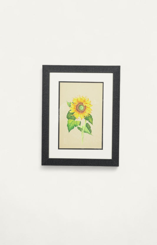 Vintage Sunflower Botanical Painting