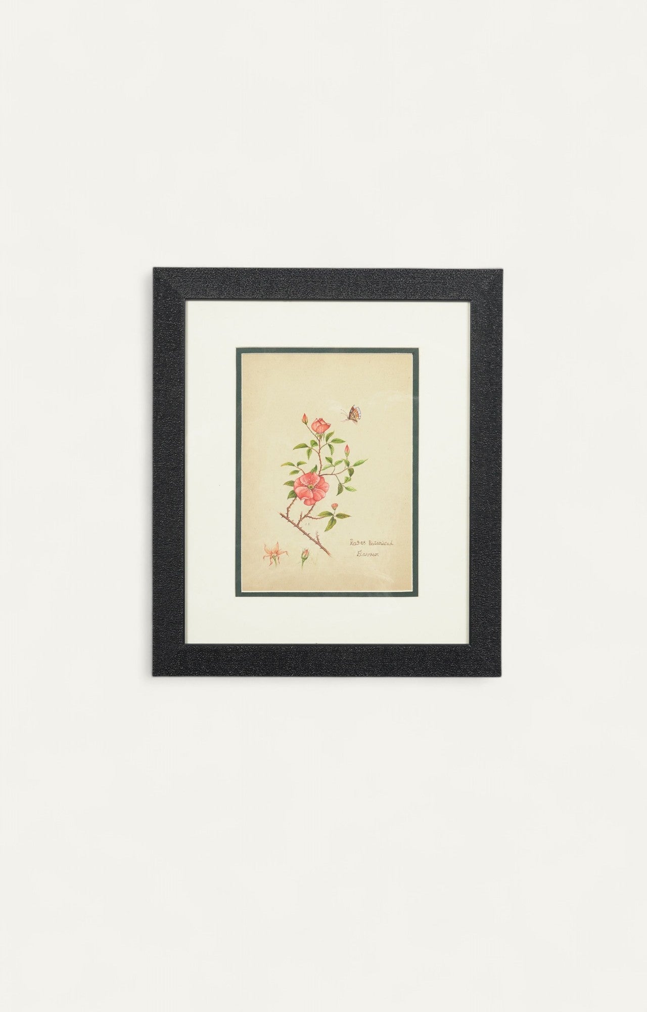 Vintage Botanical Painting