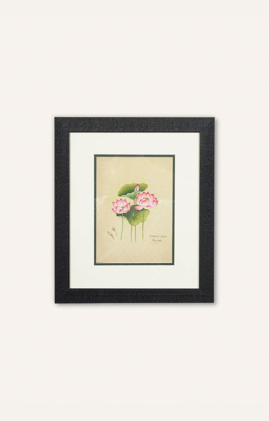 Pink Lotus Miniature Painting