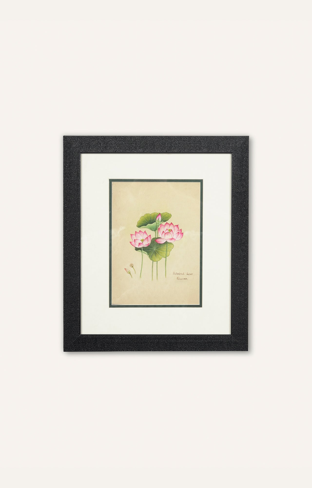 Pink Lotus Miniature Painting