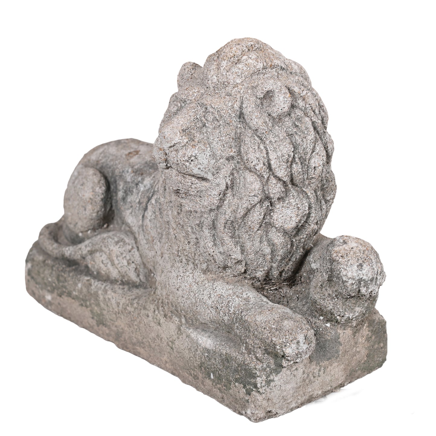 Cement Lion