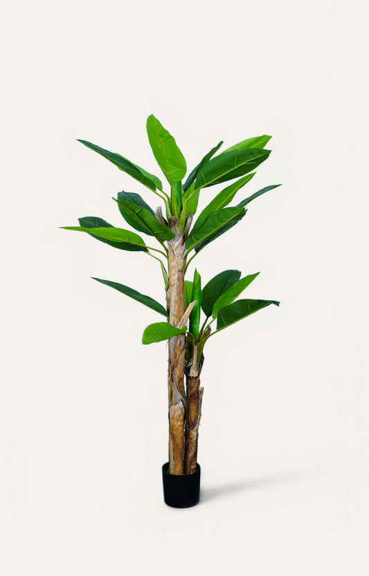 Artificial Banana Leaf Plant – 6.5 Feet