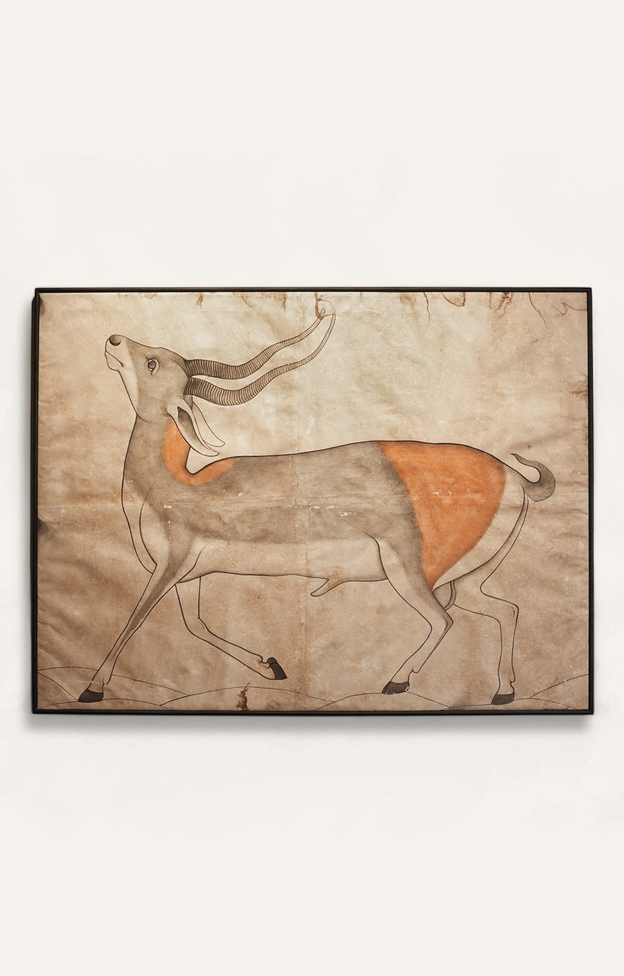 Antelope Painting