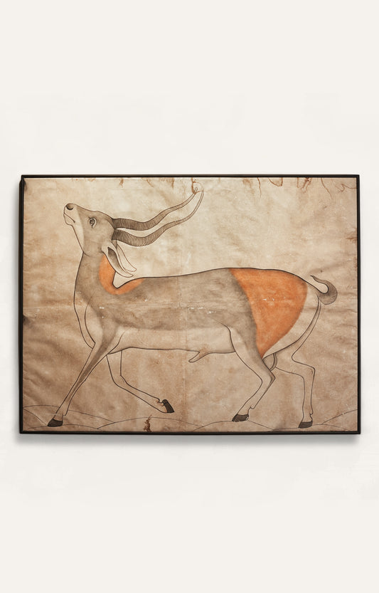 Antelope Painting