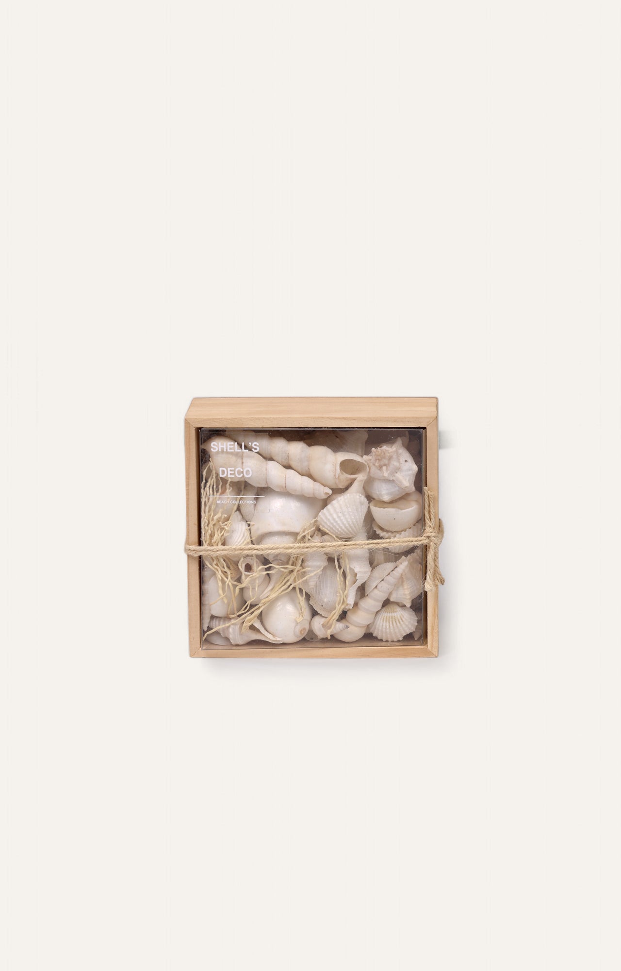 Thesauros Wooden Beach Shell Box
