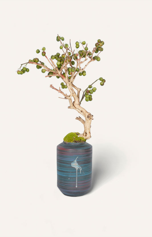Blue Ceremic Flower Vase With Plant