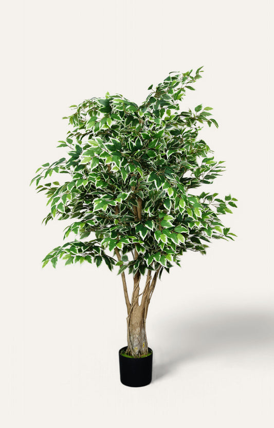 Artificial Variegated Ficus Tree – 6.5 Feet