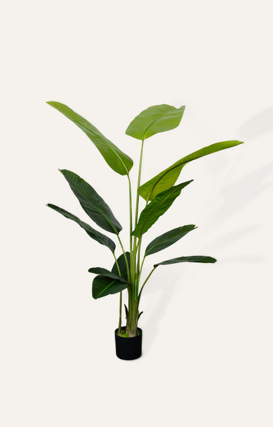 Artificial Bird of Paradise Plant – 6 Feet