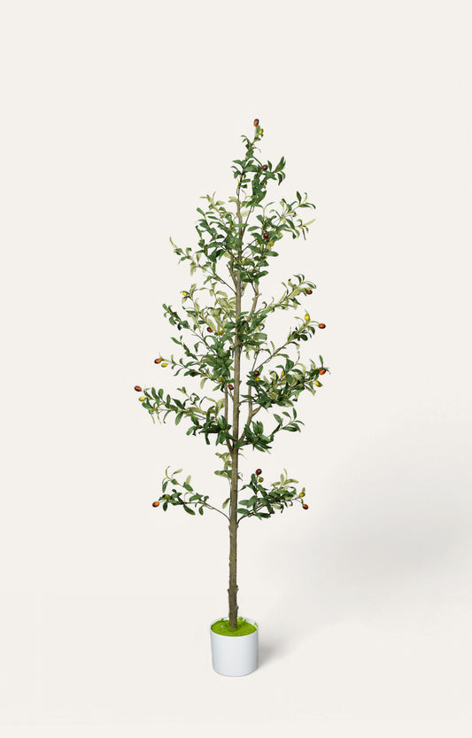Artificial Olive Tree – 6 Feet