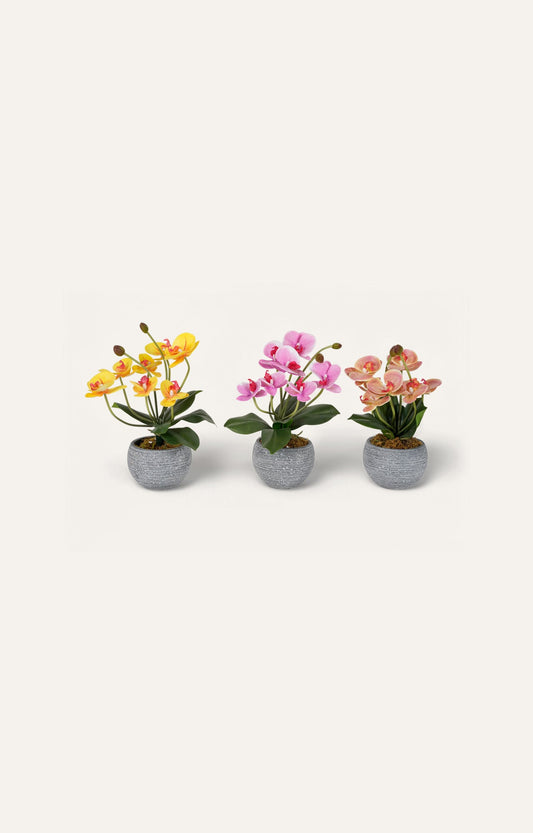 Artificial Blooming Orchid Trio – Set of 3