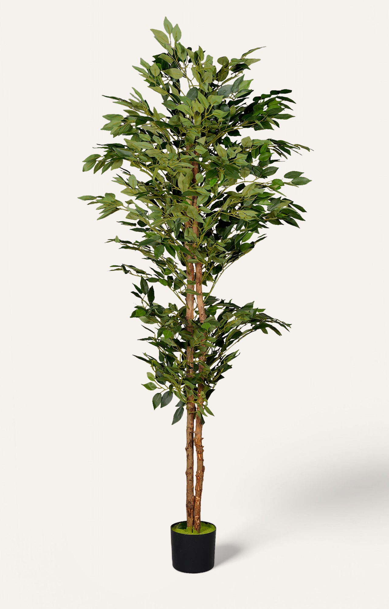 Large Faux Ficus Tree - Green