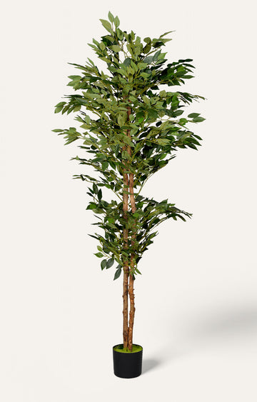 Large Faux Ficus Tree - Green