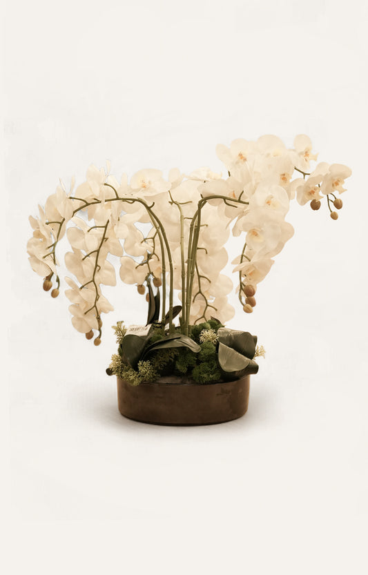 Elegant White Orchid Faux Arrangement