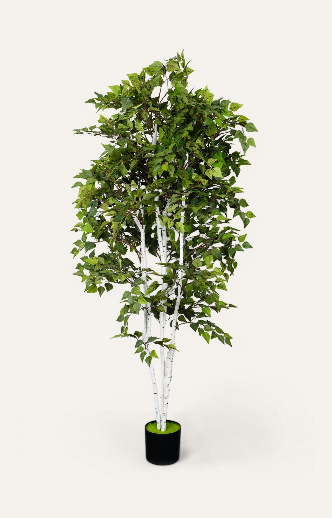 Artificial Birch Leaf Tree – 7 Feet